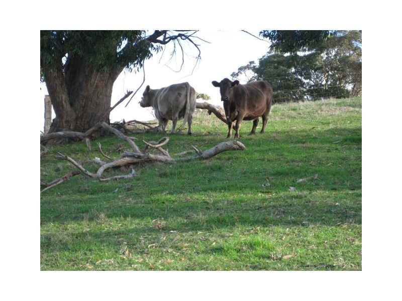 Lot 21 Mosquito Hill Road, Mount Compass SA 5210