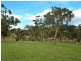 Lot 21 Mosquito Hill Road, Mount Compass SA 5210