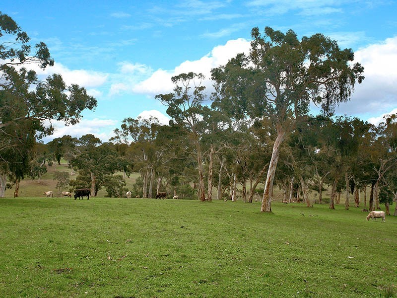 Lot 21 Mosquito Hill Road, Mount Compass SA 5210