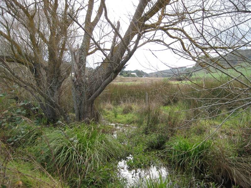 Lot 2 Nangkita Road, Mount Compass SA 5210