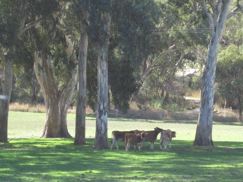 Lot 14 Decaux Road, Willunga SA 5172