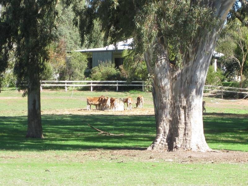 Lot 14 Decaux Road, Willunga SA 5172