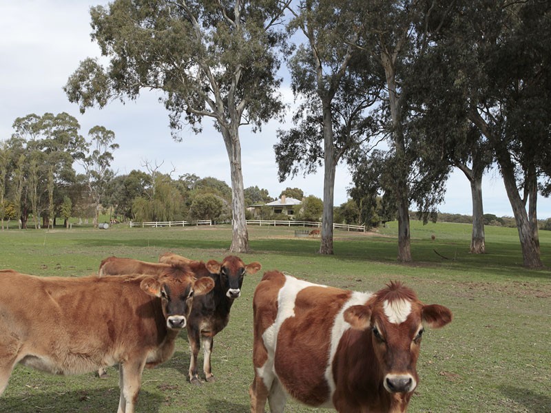 Lot 14 Decaux Road, Willunga SA 5172