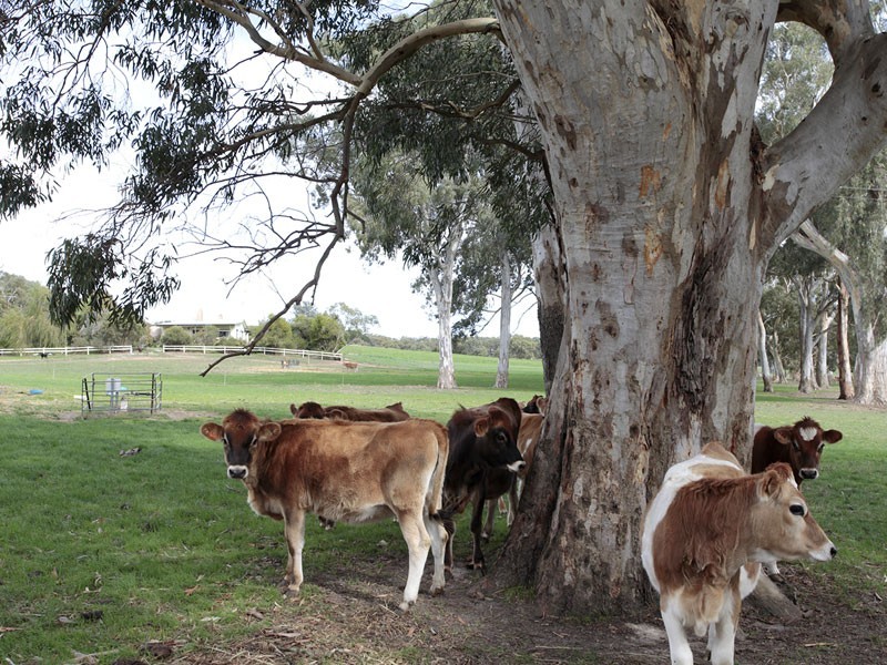 Lot 14 Decaux Road, Willunga SA 5172