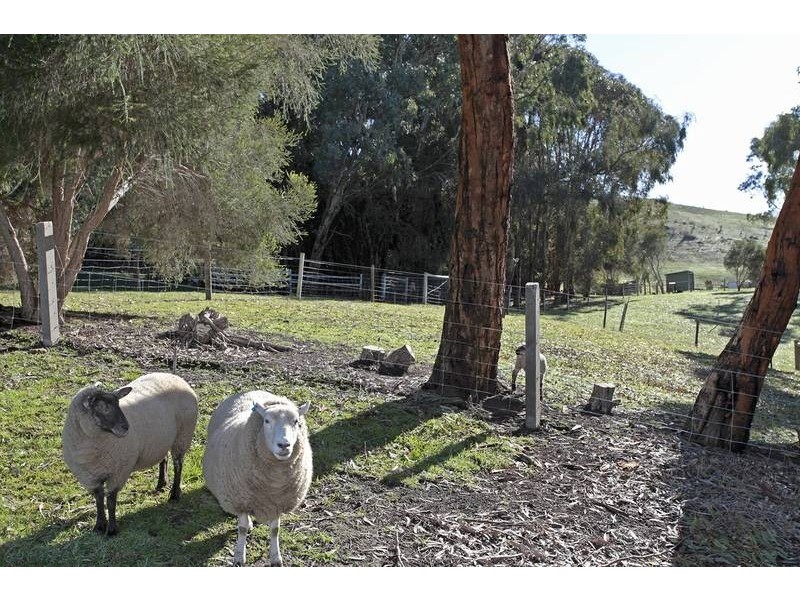 Lot 3 Ashbourne/Goolwa Road, Bull Creek SA 5157