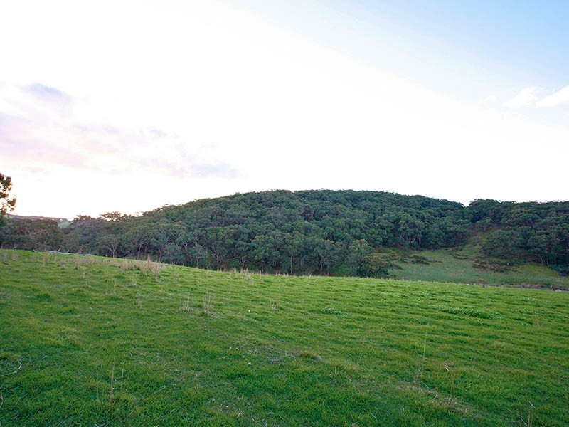 Pieces 1 & 2 Pages Flat Road, Myponga SA 5202