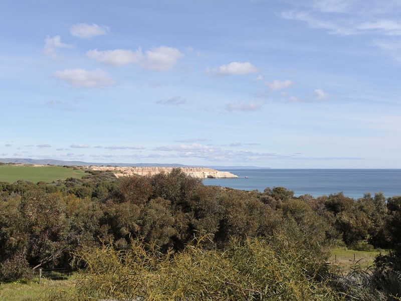 21 Oleander Road, Maslin Beach SA 5170