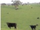 Lot 5 Mosquito Hill Road, Victor Harbor SA 5211