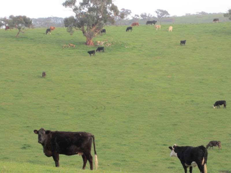Lot 5 Mosquito Hill Road, Victor Harbor SA 5211