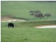 Lot 5 Mosquito Hill Road, Victor Harbor SA 5211