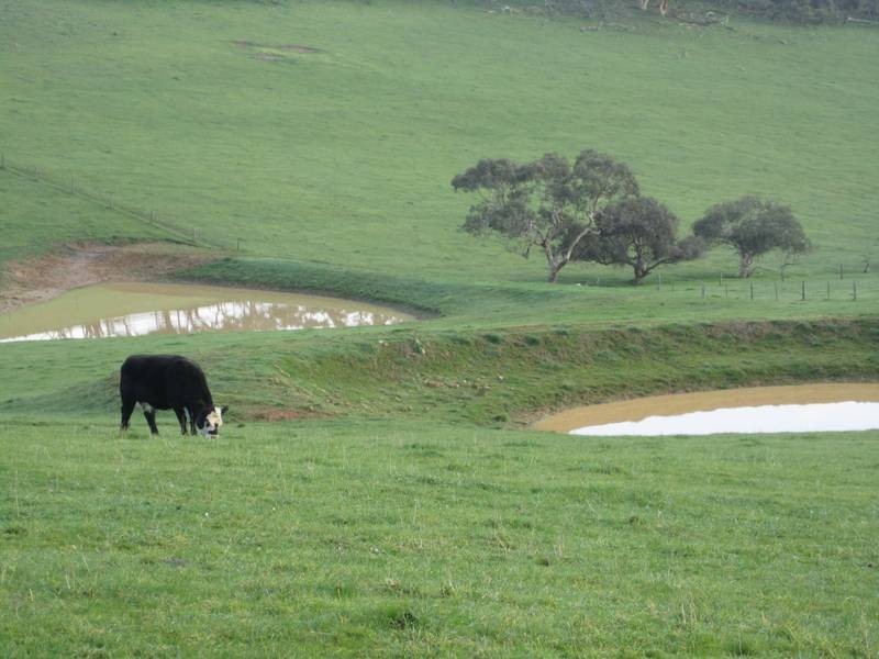 Lot 5 Mosquito Hill Road, Victor Harbor SA 5211