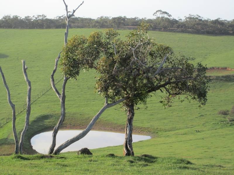 Lot 5 Mosquito Hill Road, Victor Harbor SA 5211