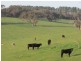 Lot 5 Mosquito Hill Road, Victor Harbor SA 5211