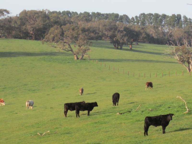 Lot 5 Mosquito Hill Road, Victor Harbor SA 5211