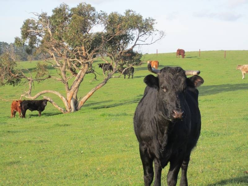 Lot 5 Mosquito Hill Road, Victor Harbor SA 5211