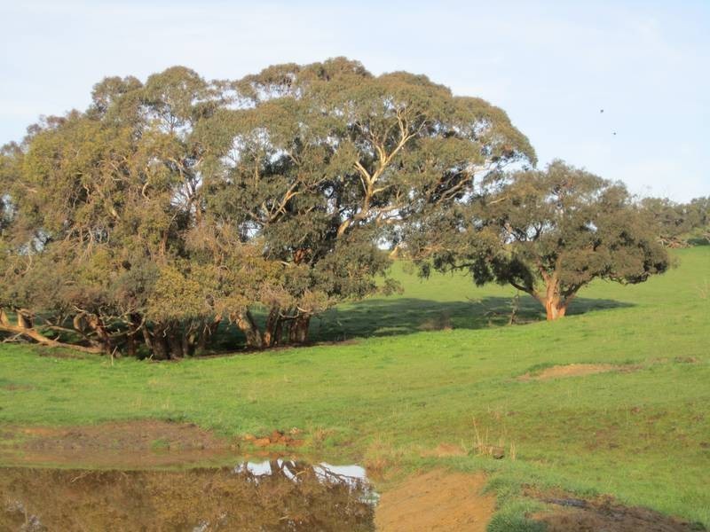 Lot 5 Mosquito Hill Road, Victor Harbor SA 5211