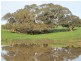 Lot 5 Mosquito Hill Road, Victor Harbor SA 5211