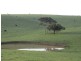 Lot 5 Mosquito Hill Road, Victor Harbor SA 5211
