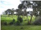 Lot 1 Brunato Road, Mclaren Vale SA 5171
