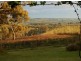 Lot 1 Brunato Road, Mclaren Vale SA 5171