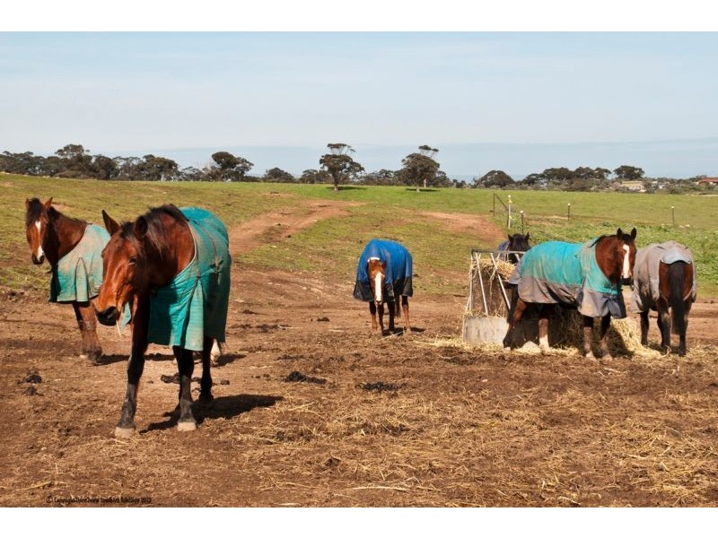 Kelly’s Road, Onkaparinga Hills SA 5163
