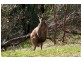 Kelly’s Road, Onkaparinga Hills SA 5163
