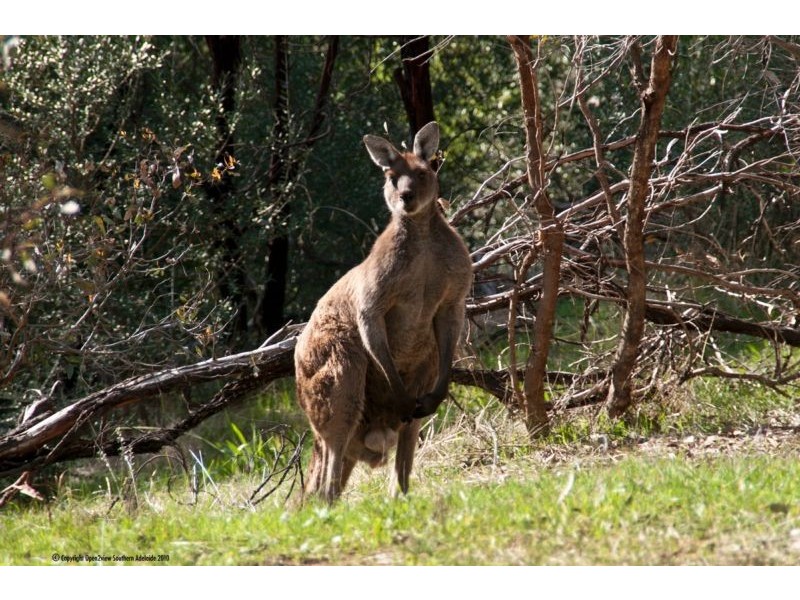 Kelly’s Road, Onkaparinga Hills SA 5163