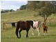 Lot 4 Goolwa Road, Mount Compass SA 5210