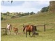 Lot 4 Goolwa Road, Mount Compass SA 5210