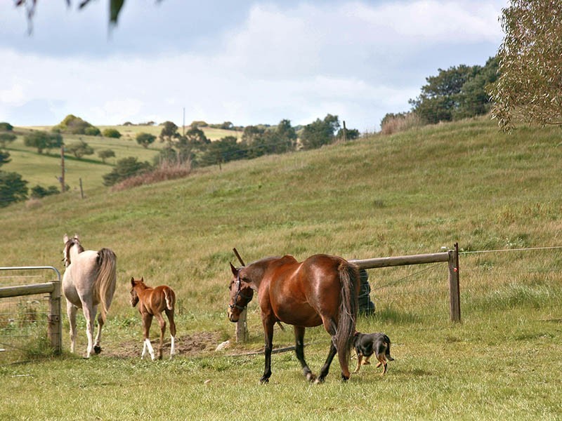 Lot 4 Goolwa Road, Mount Compass SA 5210