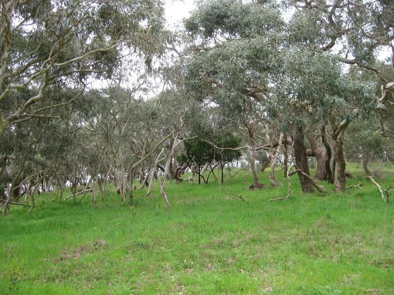 Lot 204 Bahloo Glen Road, Mount Compass SA 5210