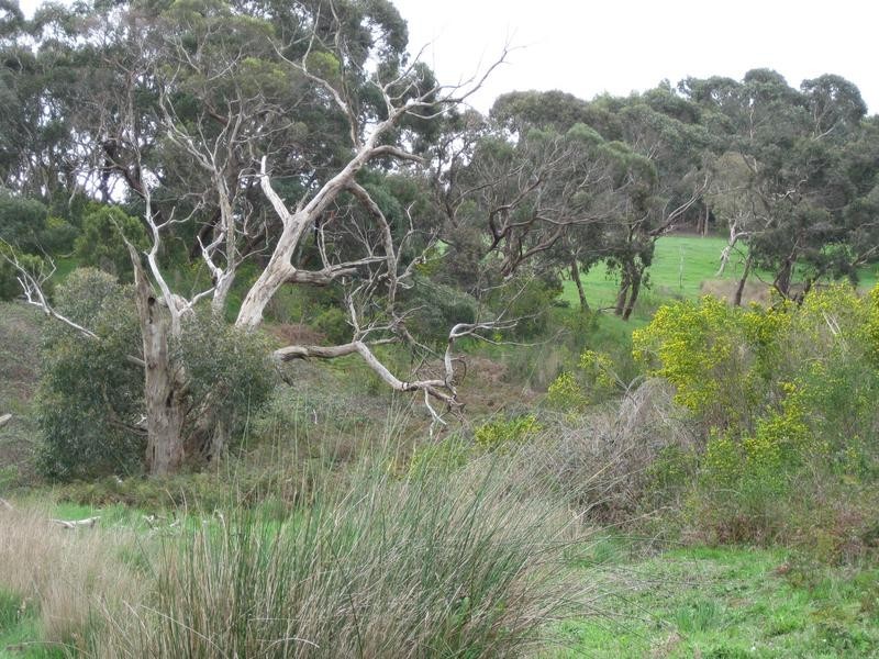 Lot 204 Bahloo Glen Road, Mount Compass SA 5210