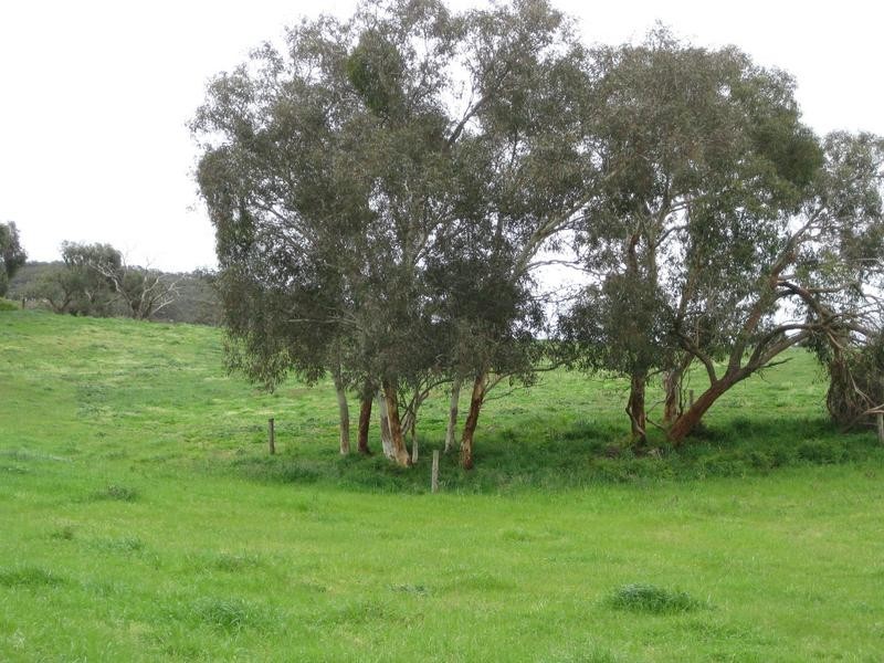 Lot 11 Bahloo Glen Road, Mount Compass SA 5210