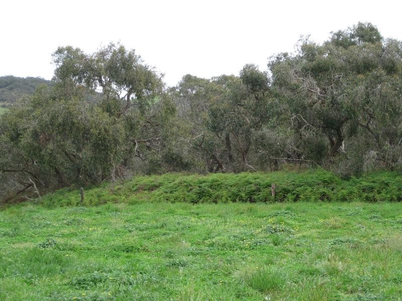 Lot 11 Bahloo Glen Road, Mount Compass SA 5210