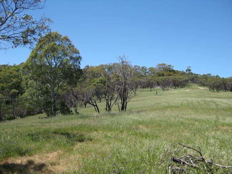 Lot 51 Thomas Hill Road, Mclaren Flat SA 5171