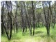 Lot 51 Thomas Hill Road, Mclaren Flat SA 5171