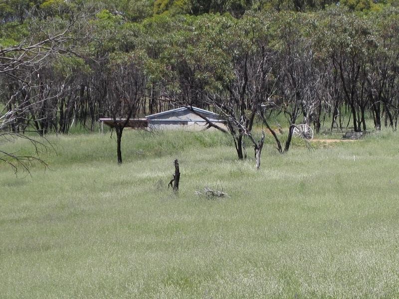Lot 51 Thomas Hill Road, Mclaren Flat SA 5171
