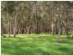 Lot 153 Peel Road, Pages Flat SA 5172