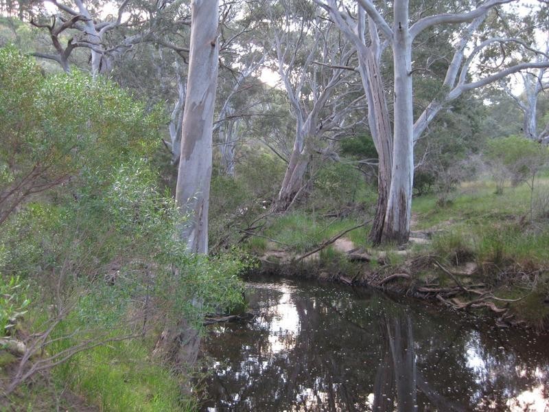 Lot 7 Off Braeside Rd, Tooperang SA 5255