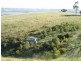Lot 7 Off Braeside Rd, Tooperang SA 5255