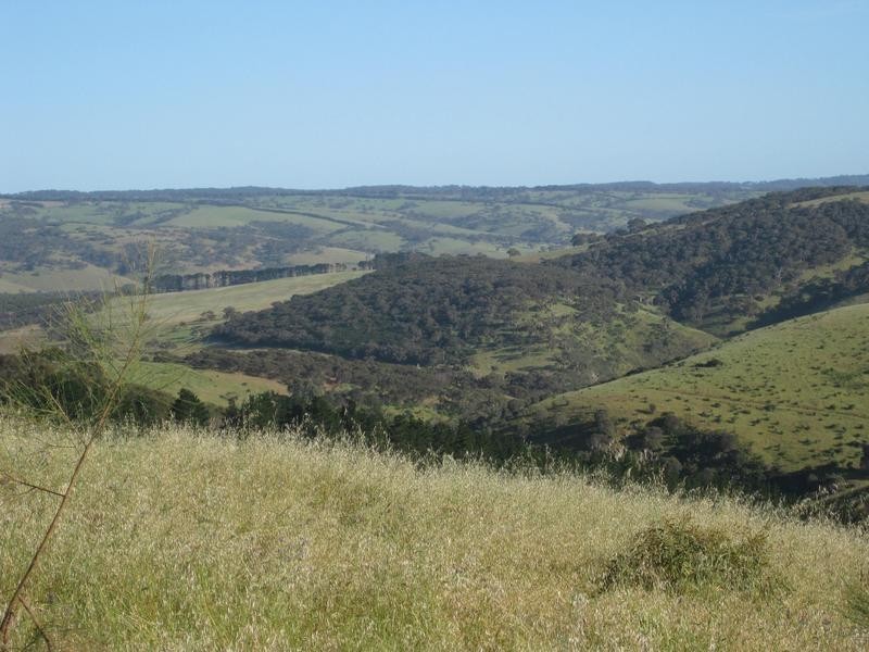 Lot 7 Off Braeside Rd, Tooperang SA 5255