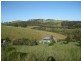 Lot 7 Off Braeside Rd, Tooperang SA 5255