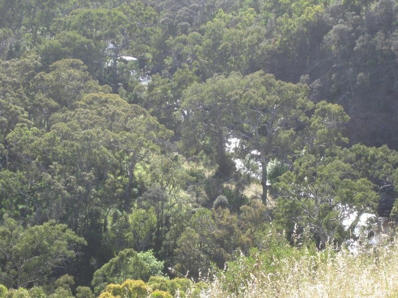 Lot 7 Off Braeside Rd, Tooperang SA 5255