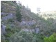 Lot 7 Off Braeside Rd, Tooperang SA 5255