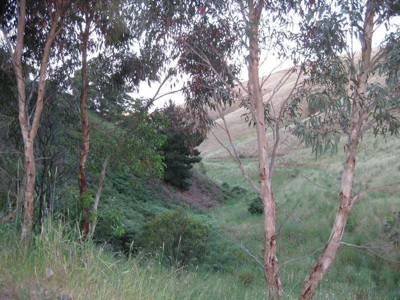 Lot 7 Off Braeside Rd, Tooperang SA 5255