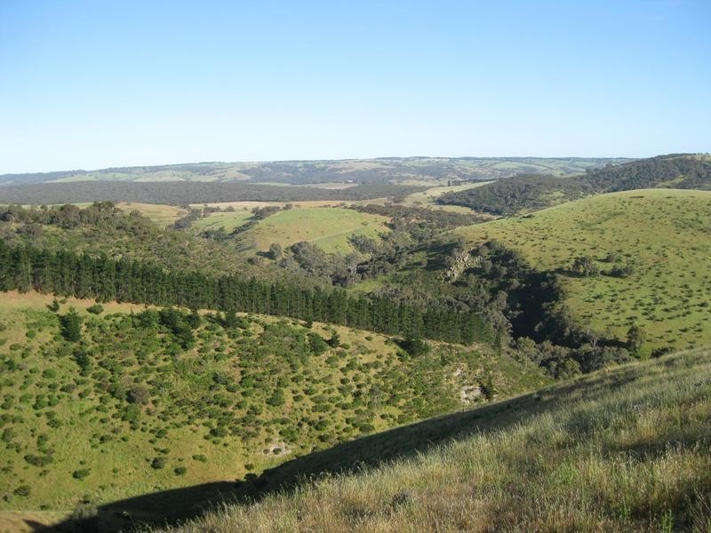Lot 7 Off Braeside Rd, Tooperang SA 5255