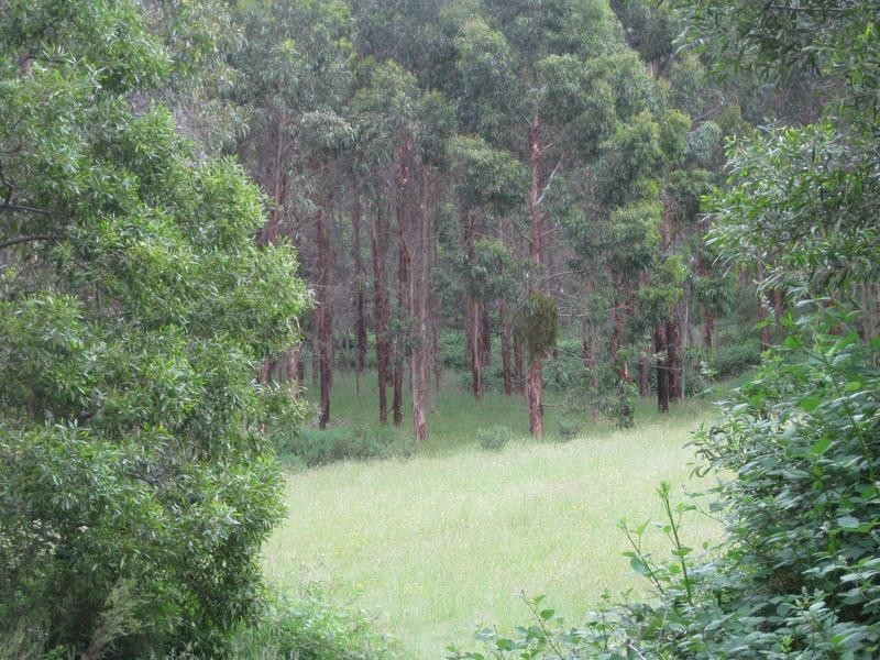 Lot 16 Milligan Road, Prospect Hill SA 5201