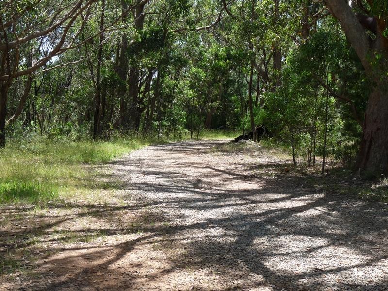 Lot 16 Milligan Road, Prospect Hill SA 5201