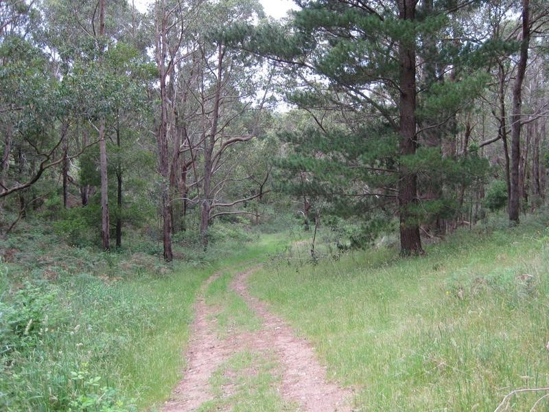 Lot 16 Milligan Road, Prospect Hill SA 5201