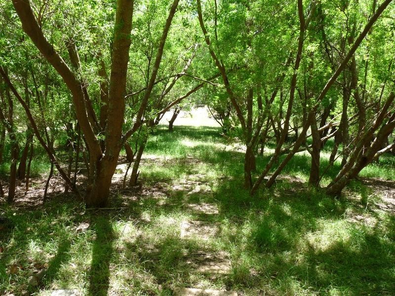 Lot 16 Milligan Road, Prospect Hill SA 5201